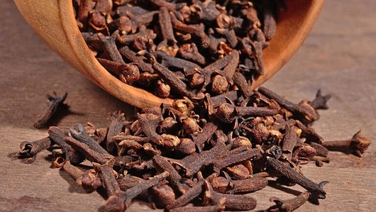 Cravo-da-Índia: Potente Anti-Inflamatório Natural com Ação Analgésica e ...